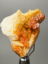 Load image into Gallery viewer, Natural Vanadinite on Matrix | Collector Mineral Specimen | Morocco