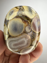 Load image into Gallery viewer, Cobra Jasper Palm Stone from India • High Grade
