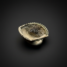 Load image into Gallery viewer, Bivalve (Pelecypoda) Fossil Sea Shell with Chalcopyrite | Mineralized Fossil Specimen | Indonesia