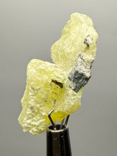 Load image into Gallery viewer, Vibrant Yellow Brucite Thumbnail Mineral Specimen | Collector Crystal from Killa Saifullah District in Balochistan Province, Pakistan