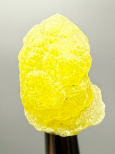Load image into Gallery viewer, Vibrant Yellow Brucite Thumbnail Mineral Specimen | Collector Crystal from Killa Saifullah District in Balochistan Province, Pakistan