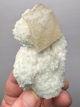 Load image into Gallery viewer, Rare Druzy Golden “Diamond” Calcite on Zeolite Matrix — Maharashtra, India | Collector Cabinet Specimen