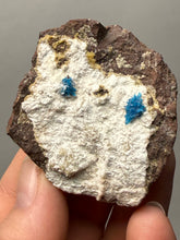 Load image into Gallery viewer, Rare Electric Blue Pentagonite on Druzy Matrix – Collector Mineral Specimen | India