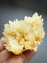 Load image into Gallery viewer, High-Grade Flower Coral Aragonite Crystal Specimen – Wenshan Mine, Yunnan, China