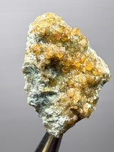 Load image into Gallery viewer, Hessonite Garnet Cluster on Matrix – Natural Collector Specimen from Pakistan | High-Grade Orange-Red Garnet Crystals