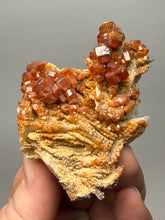 Load image into Gallery viewer, Natural Vanadinite on Matrix | Collector Mineral Specimen | Morocco