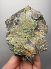 Load image into Gallery viewer, High-Grade Green Wavellite Collectors Specimen - Radiating Botryoidal Crystal Formation - Arkansas, USA
