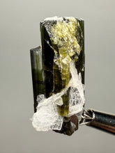 Load image into Gallery viewer, Green Cap Stak Nala Tourmaline with Cleavelandite – Haramosh Mountains, Pakistan | Thumbnail Specimen