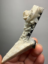 Load image into Gallery viewer, Dark Green Cap Stak Nala Tourmaline with Flower Cleavelandite Matrix – Haramosh Mountains, Pakistan