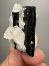 Load image into Gallery viewer, Dark Green Cap Stak Nala Tourmaline on Cleavelandite Matrix – Haramosh Mountains, Pakistan