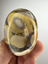 Load image into Gallery viewer, Cobra Jasper Palm Stone from India • High Grade