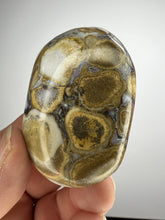 Load image into Gallery viewer, Cobra Jasper Palm Stone from India • High Grade