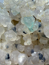 Load image into Gallery viewer, Blue-Green Chrysocolla in Botryoidal Chalcedony Cabinet Specimen | Indonesia