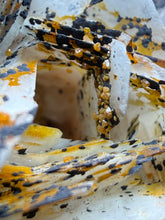 Load image into Gallery viewer, Natural Vanadinite on Matrix | Collector Mineral Specimen | Morocco