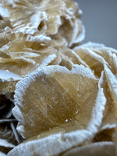 Load image into Gallery viewer, Desert Rose Selenite (Gypsum) — Mineral Display Specimen | Mexico