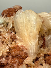Load image into Gallery viewer, Shiny Peach Stilbite on Druzy Red Heulandite – High-Grade Collector Mineral Specimen from India