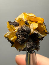 Load image into Gallery viewer, High-Grade Orange Wulfenite Collector Display Specimen | La Morita Mine, Chihuahua, Mexico