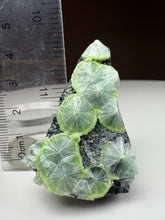 Load image into Gallery viewer, Green Wavellite Cluster Mineral Specimen • Arkansas, USA