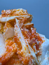 Load image into Gallery viewer, Natural Vanadinite on Matrix | Collector Mineral Specimen | Morocco
