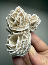 Load image into Gallery viewer, Desert Rose Selenite (Gypsum) — Mineral Display Specimen | Mexico