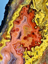 Load image into Gallery viewer, Pink Yellow Red Moroccan Agate | High Atlas Mountains •UNPOLISHED LAPIDARY SLAB