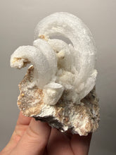 Load image into Gallery viewer, Moroccan Ram’s Horn Selenite (Gypsum) Crystal Display Specimen