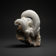 Load image into Gallery viewer, Moroccan Ram’s Horn Selenite (Gypsum) Crystal Display Specimen