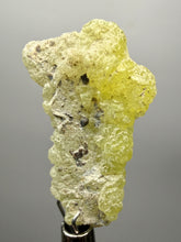 Load image into Gallery viewer, Vibrant Yellow Brucite Thumbnail Mineral Specimen | Collector Crystal from Killa Saifullah District in Balochistan Province, Pakistan