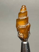Load image into Gallery viewer, Agatized Gastropod Fossil Specimen | Morocco