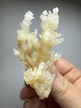 Load image into Gallery viewer, High-Grade Coral Aragonite Crystal Specimen – Wenshan Mine, Yunnan, China