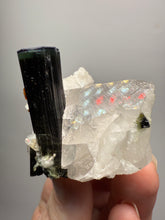 Load image into Gallery viewer, Blue Cap Dark Green Stak Nala Tourmaline and Quartz on Cleavelandite Matrix – Haramosh Mountains, Pakistan
