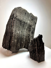 Load image into Gallery viewer, Black Druzy Petrified Wood from Indonesia