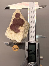 Load image into Gallery viewer, Etched Botryoidal Lavender Fluorite on Quartz Matrix Collector Mineral Specimen — Hunan, China