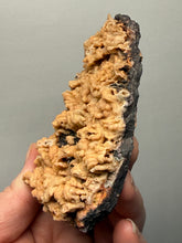 Load image into Gallery viewer, Rose Botryoidal Chalcedony Agate from Morocco – Druzy Cabinet Specimen