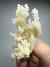 Load image into Gallery viewer, High-Grade Coral Aragonite Crystal Specimen – Wenshan Mine, Yunnan, China
