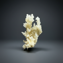 Load image into Gallery viewer, High-Grade Coral Aragonite Crystal Specimen – Wenshan Mine, Yunnan, China