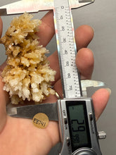 Load image into Gallery viewer, 2.9” High-Grade Flower Calcite Specimen | Wenshan Mine, Yunnan, China | Collector Mineral Display