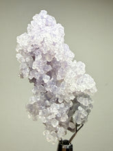 Load image into Gallery viewer, Indonesian Grape Agate (Botryoidal Purple Chalcedony) Display Specimen | Mamuju, West Sulawesi, Indonesia