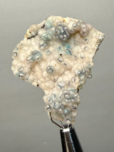 Load image into Gallery viewer, Blue-Green Chrysocolla in Botryoidal Chalcedony Cabinet Specimen | Indonesia
