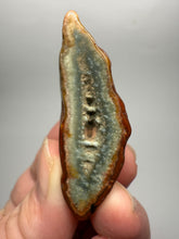 Load image into Gallery viewer, Lot of 9 Small Malawi Agate Halves – Polished Rare Colorful Collector Specimens