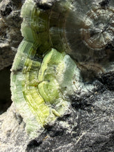 Load image into Gallery viewer, High-Grade Green Wavellite Collectors Specimen - Radiating Botryoidal Crystal Formation - Arkansas, USA