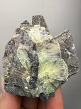 Load image into Gallery viewer, High-Grade Green Wavellite Collectors Specimen - Radiating Botryoidal Crystal Formation - Arkansas, USA