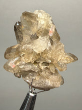 Load image into Gallery viewer, Smoky Quartz Crystal Specimen | Natural Collector Mineral – Brazil