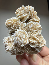 Load image into Gallery viewer, Desert Rose Selenite (Gypsum) — Mineral Display Specimen | Mexico