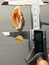 Load image into Gallery viewer, Premium Sumatra Agate (Banded Chalcedony) Display Specimen | Indonesia