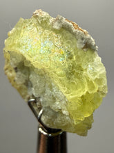 Load image into Gallery viewer, Vibrant Yellow Brucite Thumbnail Mineral Specimen | Collector Crystal from Killa Saifullah District in Balochistan Province, Pakistan