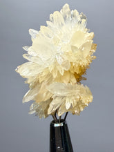 Load image into Gallery viewer, 1.4” High-Grade Flower Calcite Specimen | Wenshan Mine, Yunnan, China | Collector Mineral Display