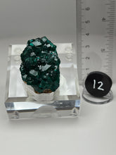 Load image into Gallery viewer, Dioptase Cluster from Congo • High Grade • Mineral Collector’s Specimen Showpiece