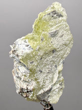 Load image into Gallery viewer, Vibrant Yellow Brucite Thumbnail Mineral Specimen | Collector Crystal from Killa Saifullah District in Balochistan Province, Pakistan