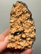 Load image into Gallery viewer, Rose Botryoidal Chalcedony Agate from Morocco – Druzy Cabinet Specimen